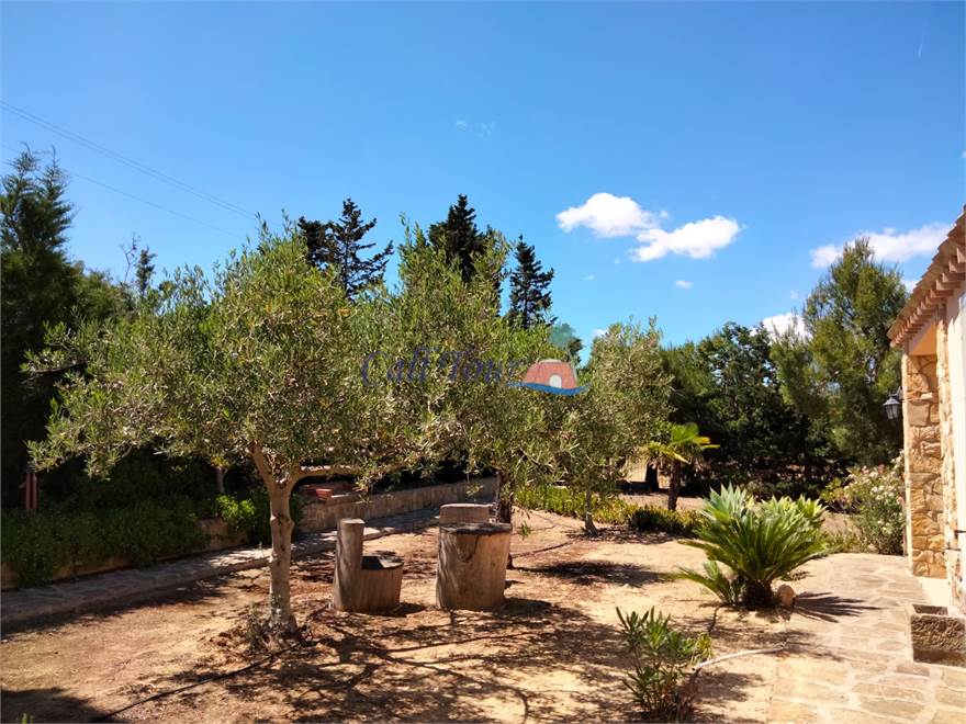 Giardino