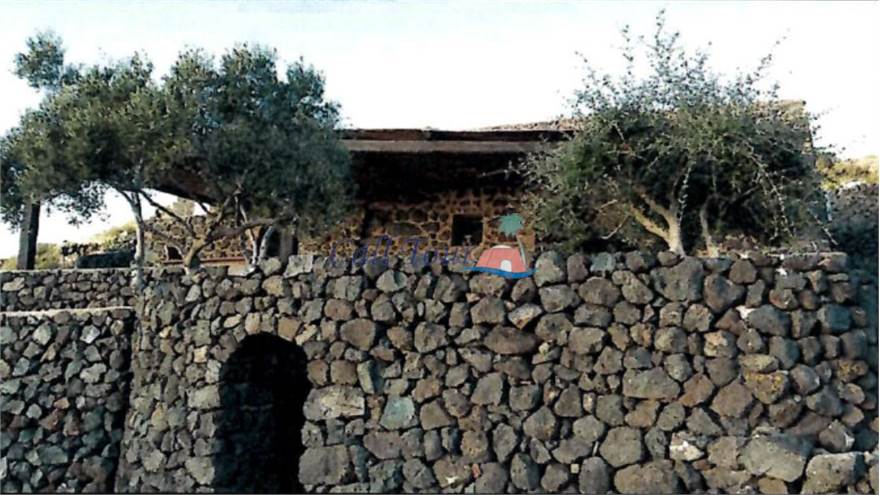 Tipical circular garden of Pantelleria